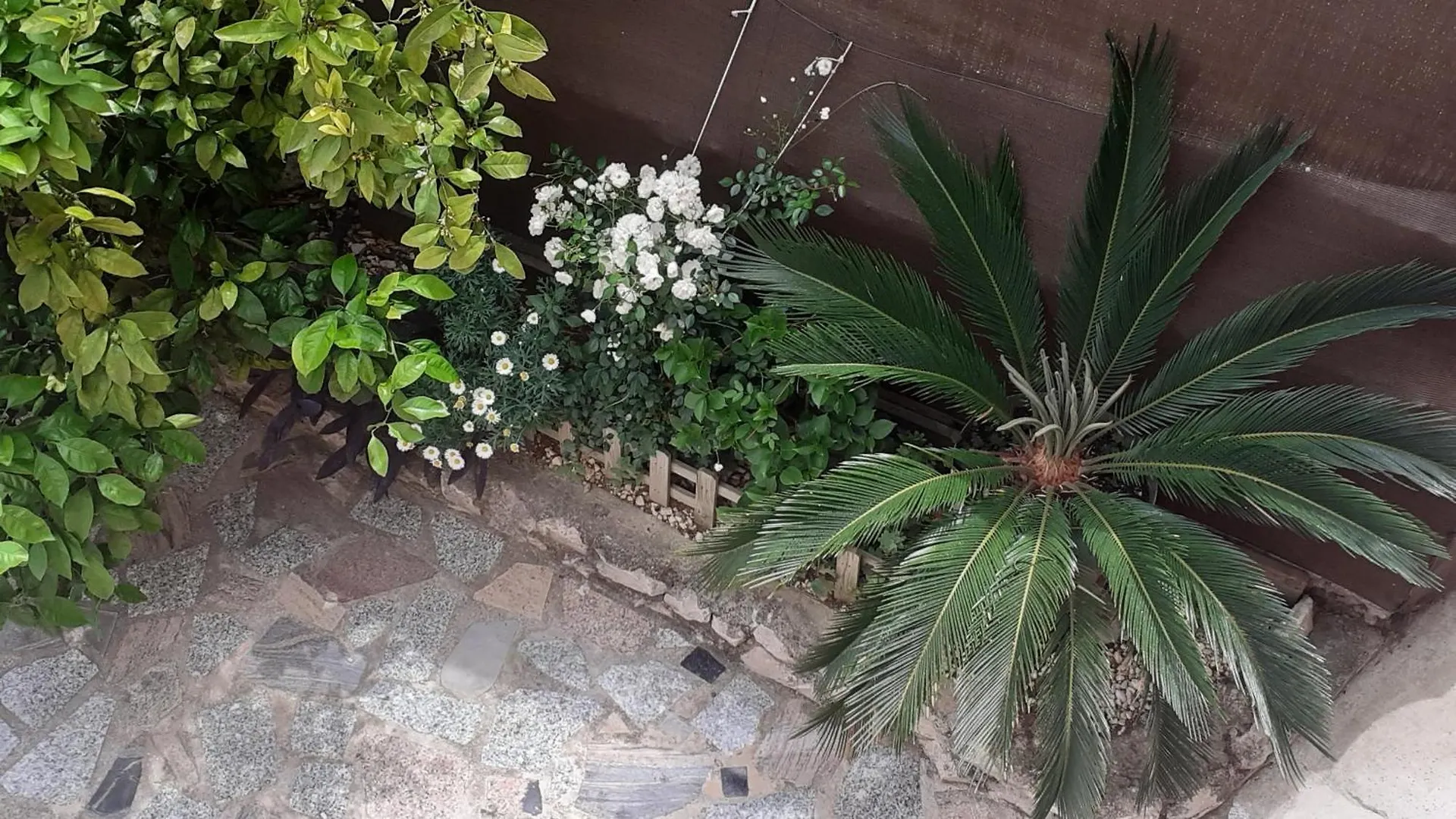 Apartmani G&M Bibinje Apartment